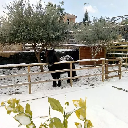 Aurora Dell'etna Alojamento de Acomodação e Pequeno-almoço Zafferana Etnea