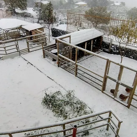 住宿加早餐酒店 Aurora Dell'etna 3*