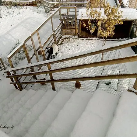 Aurora Dell'etna 住宿加早餐酒店 3*