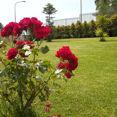 住宿加早餐酒店 Aurora Dell'etna