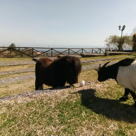 Aurora Dell'etna 扎费拉纳-埃特内阿