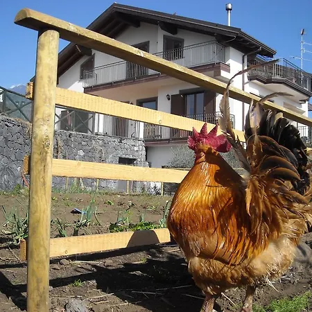 住宿加早餐酒店 Aurora Dell'etna 3*