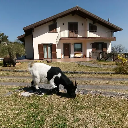 Aurora Dell'etna 住宿加早餐酒店 3*