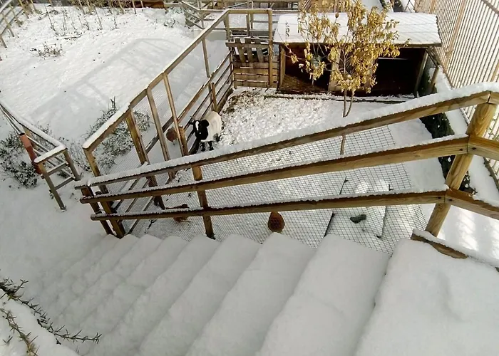 Aurora Dell'etna Couette-café 3*